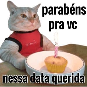 Foto de um gatinho fofo